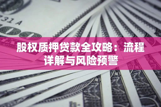 武汉股权质押贷款全攻略：流程详解与风险预警