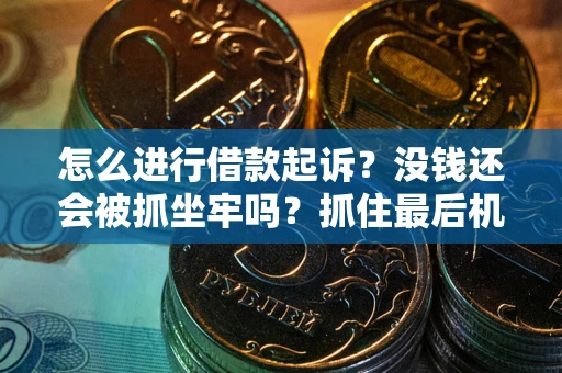 武汉怎么进行借款起诉？没钱还会被抓坐牢吗？抓住最后机会！