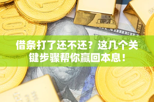 武汉借条打了还不还？这几个关键步骤帮你赢回本息！
