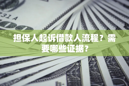 武汉担保人起诉借款人流程？需要哪些证据？
