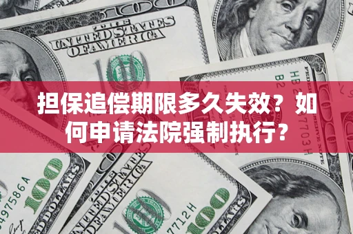 武汉担保追偿期限多久失效？如何申请法院强制执行？