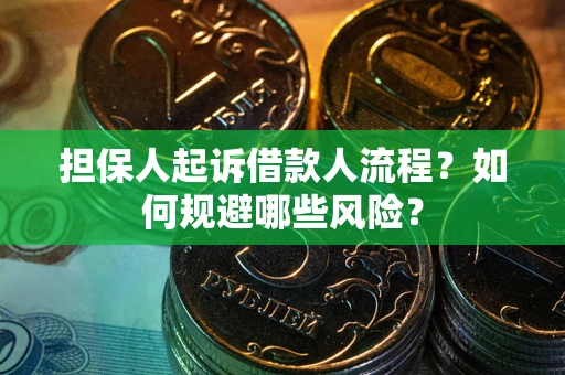 武汉担保人起诉借款人流程？如何规避哪些风险？