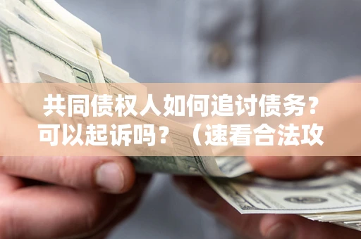 武汉共同债权人如何追讨债务？可以起诉吗？（速看合法攻略）