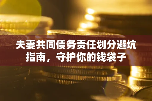 武汉夫妻共同债务责任划分避坑指南，守护你的钱袋子