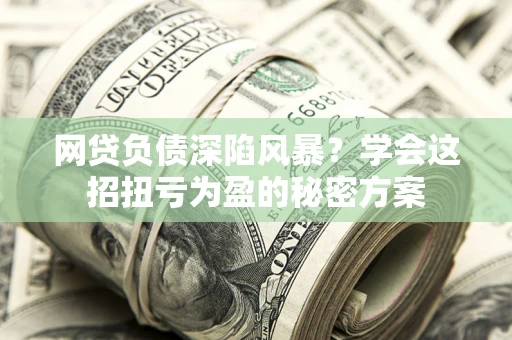 武汉网贷负债深陷风暴？学会这招扭亏为盈的秘密方案