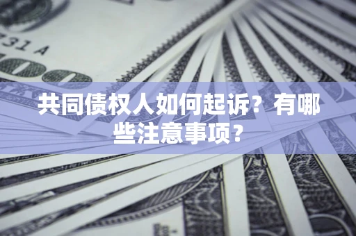 武汉共同债权人如何起诉？有哪些注意事项？