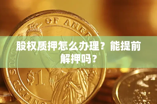 武汉股权质押怎么办理？能提前解押吗？